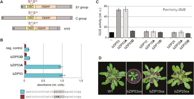 Fig. 1.