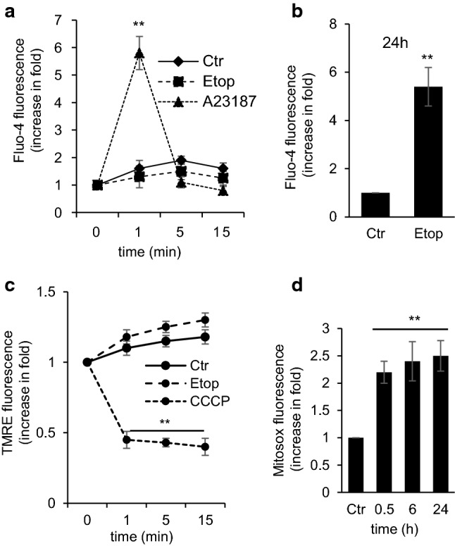 Fig. 2