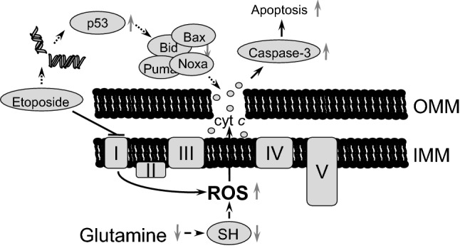 Fig. 7