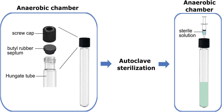 Figure 1