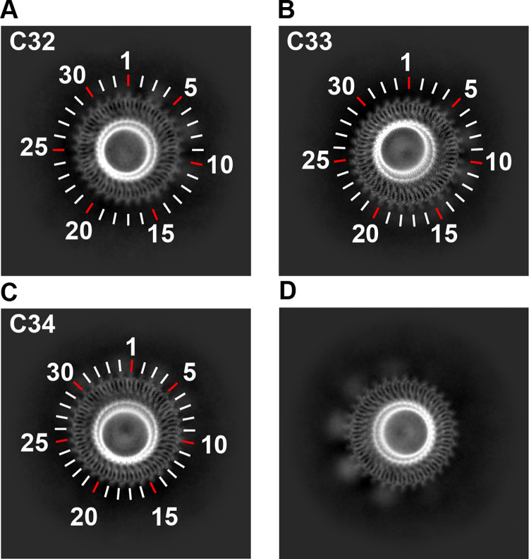 Fig 3