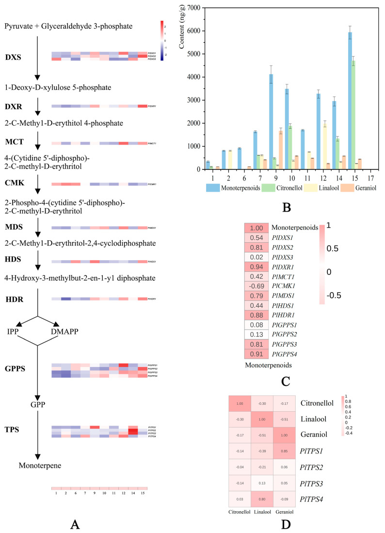 Figure 7