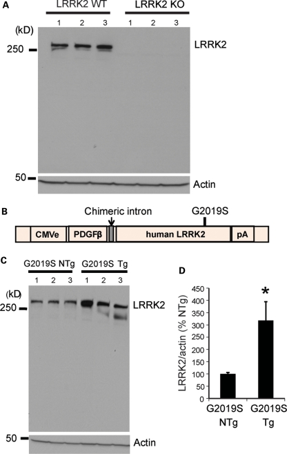 Figure 1.