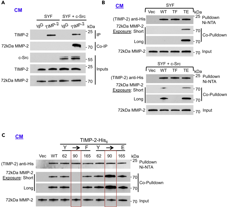 Figure 3