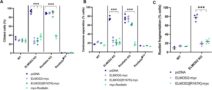 FIGURE 5: