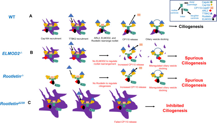 FIGURE 9: