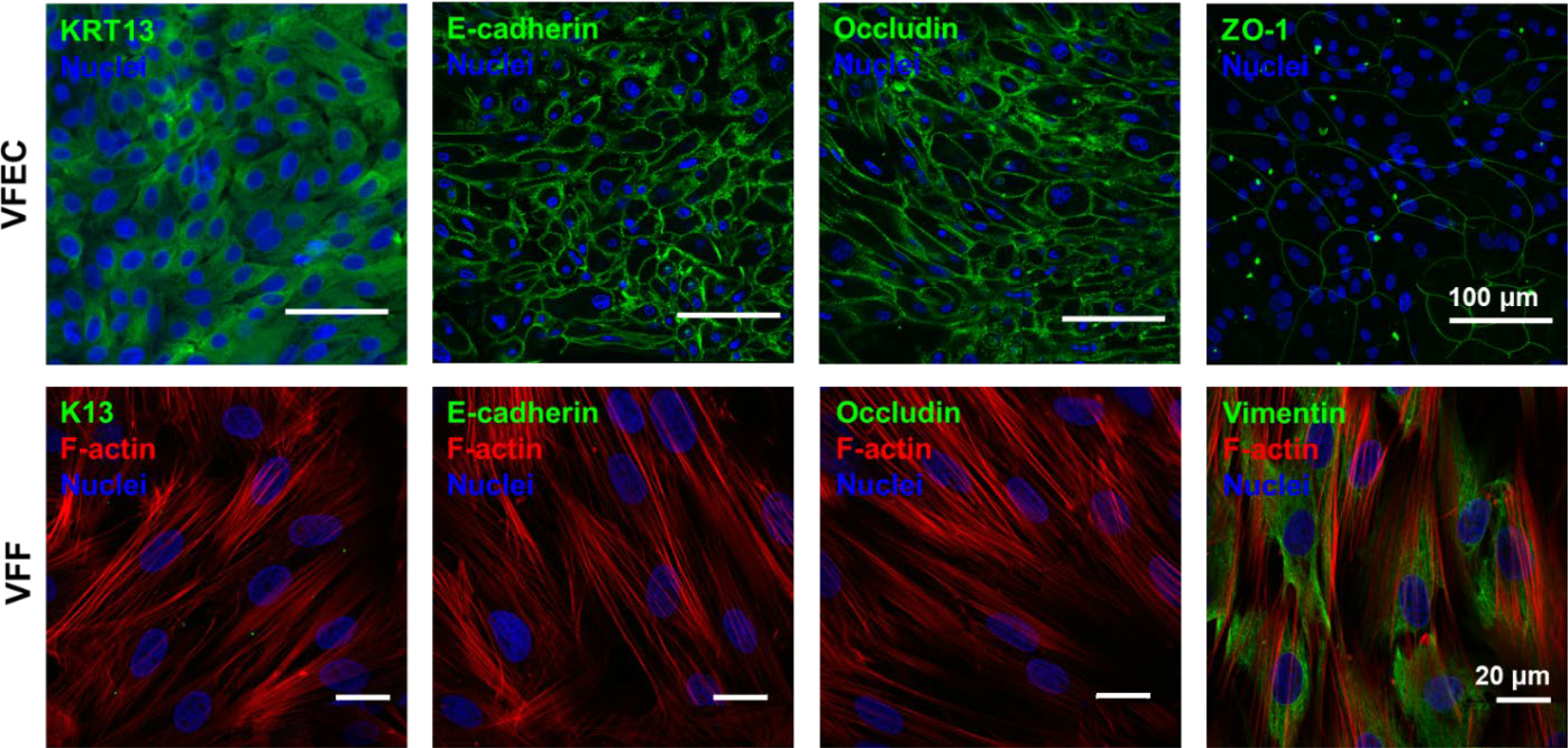 Figure 4: