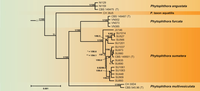 Fig. 6