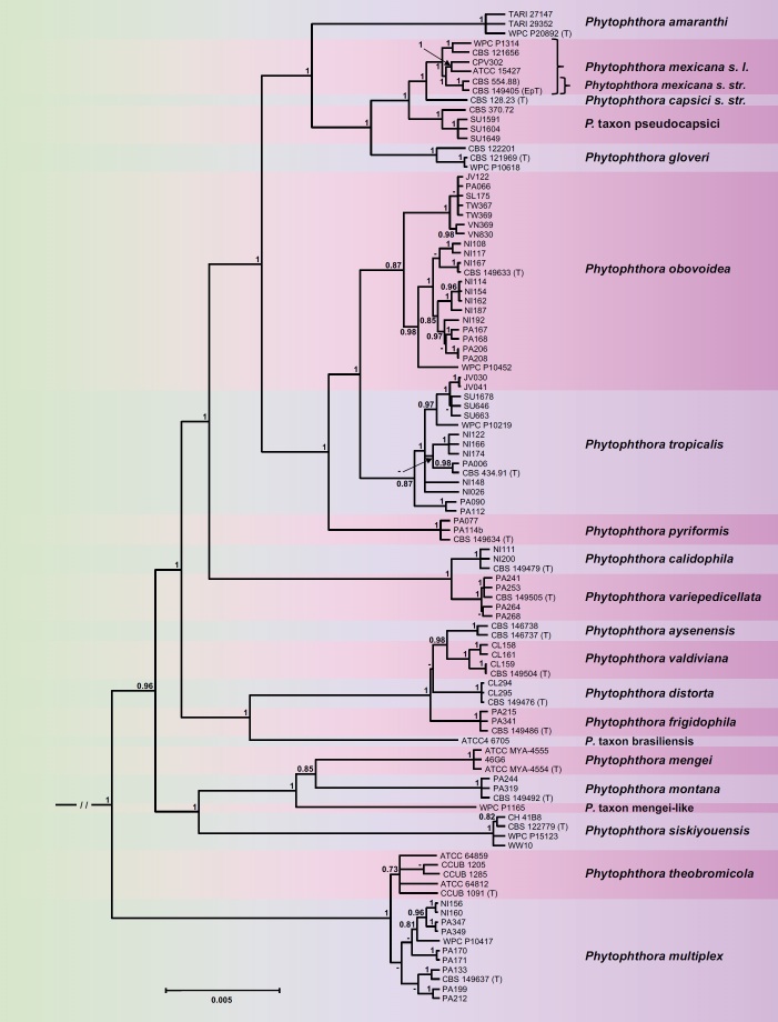 Fig. 3