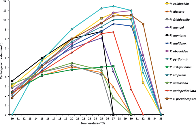 Fig. 26