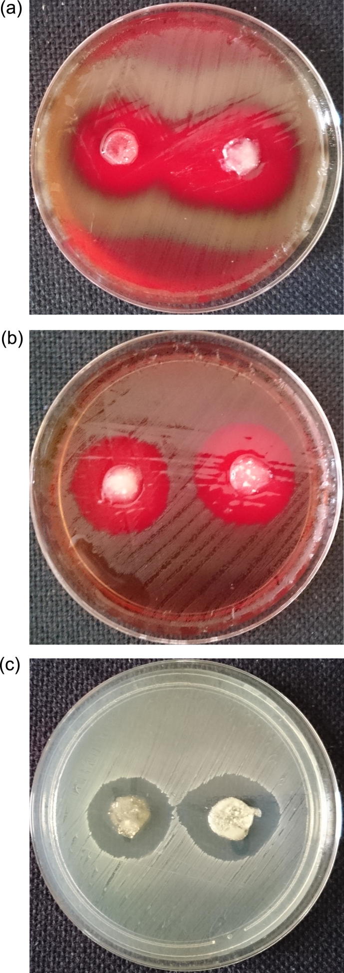 Fig. 8