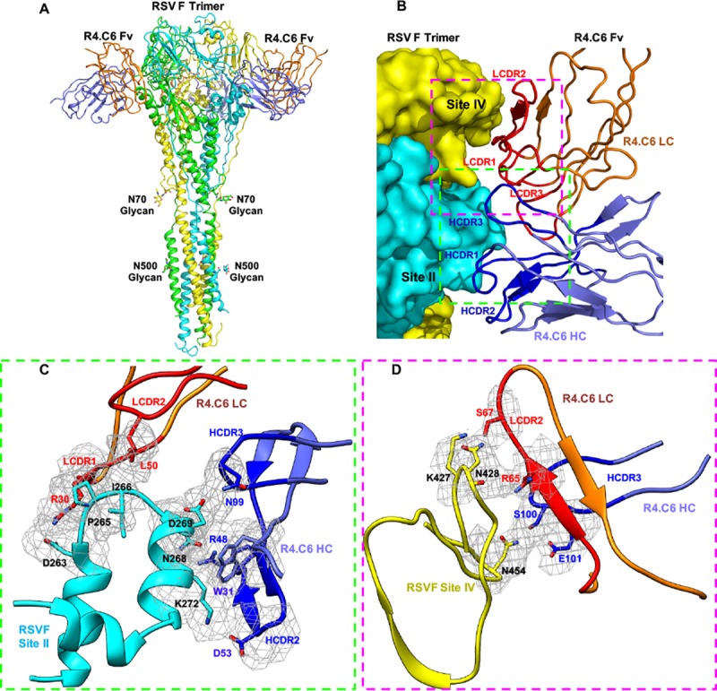 Fig 3