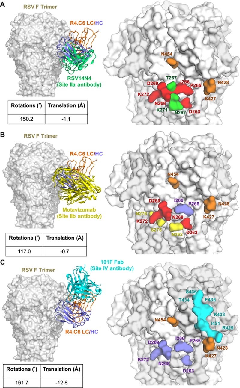 Fig 4