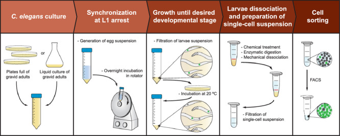 Image, graphical abstract