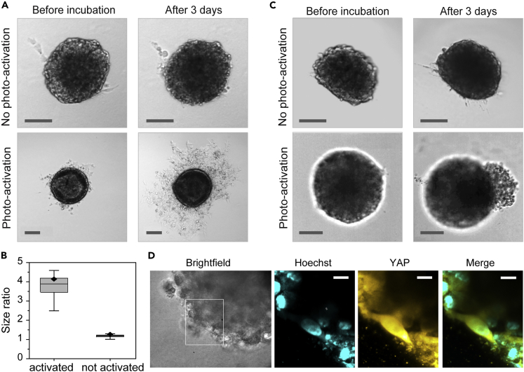 Figure 3