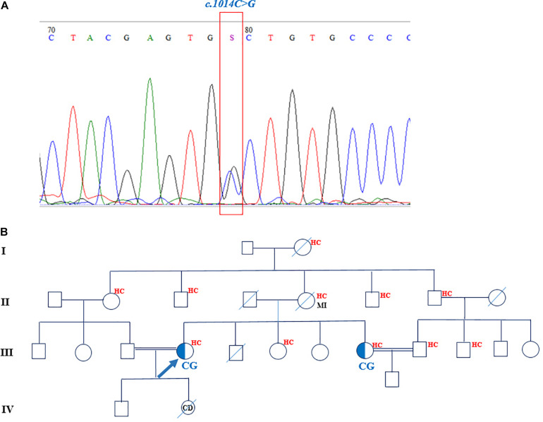 FIGURE 3