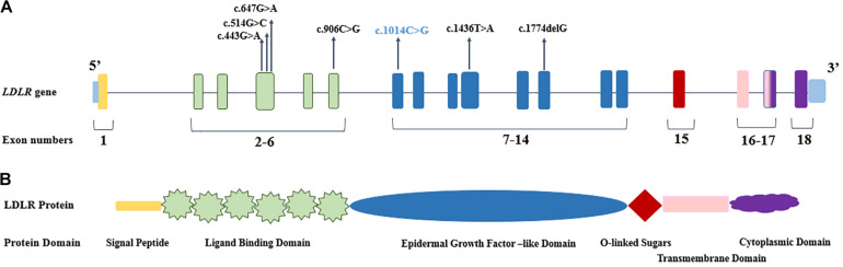 FIGURE 1