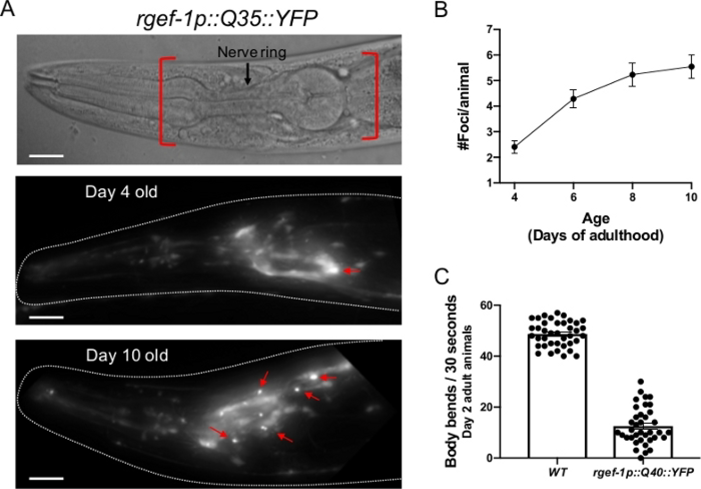 Figure 2: