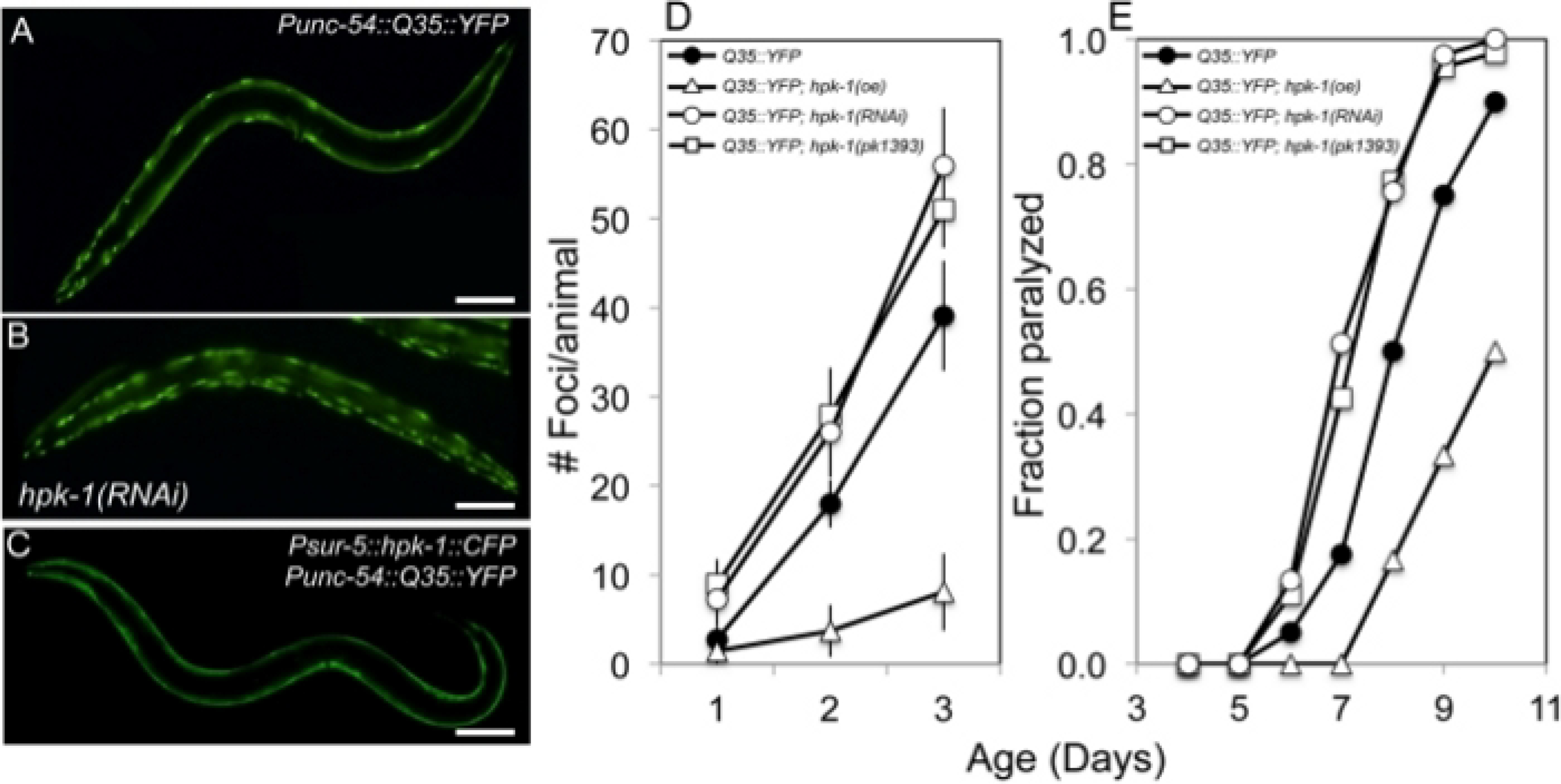 Figure 3: