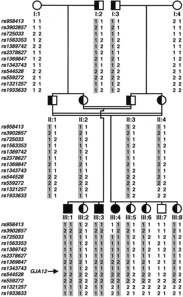 Figure  3