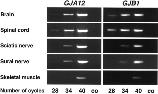 Figure  6