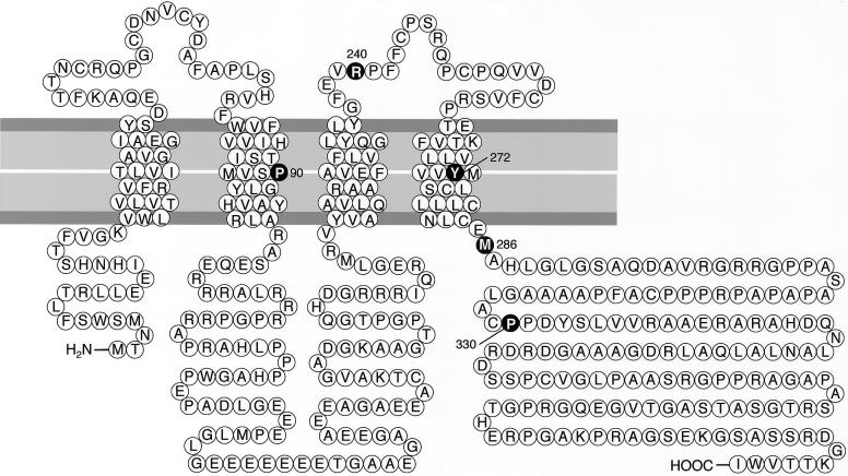 Figure  2