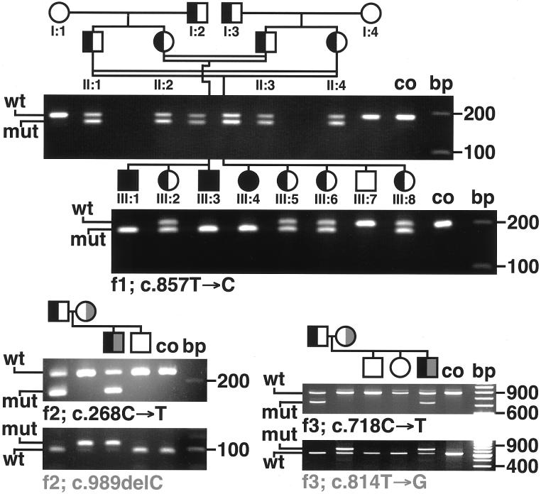 Figure  4