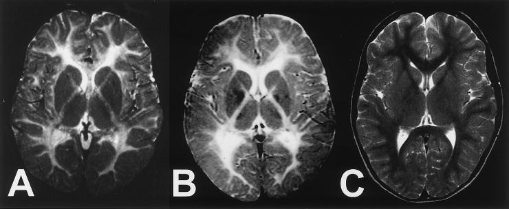 Figure  1