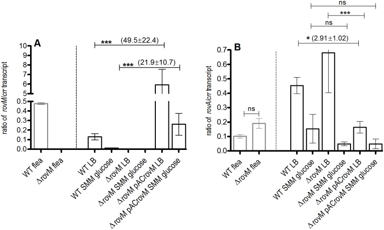 Fig 6