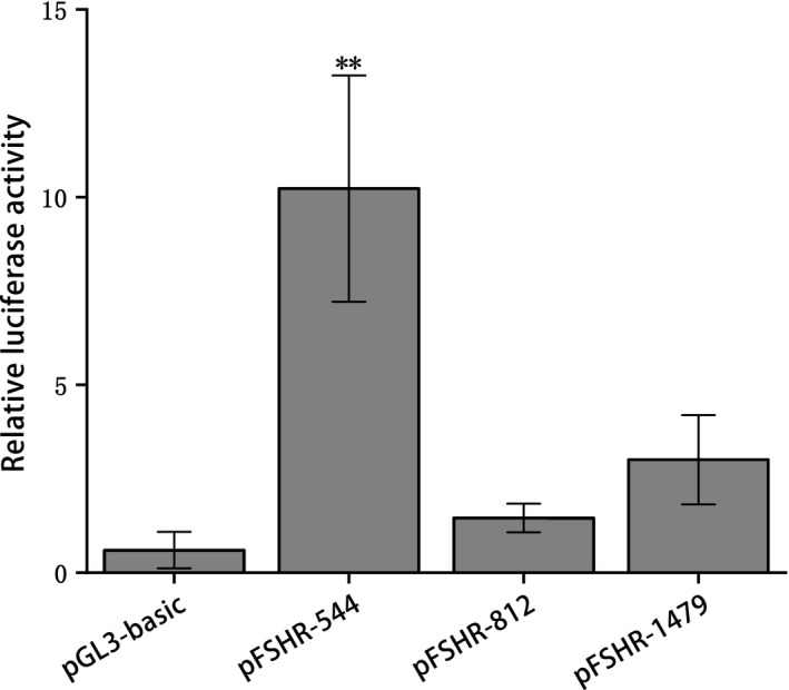 Figure 5