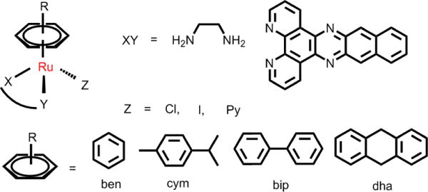 Fig. 9