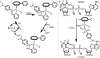 Fig. 30