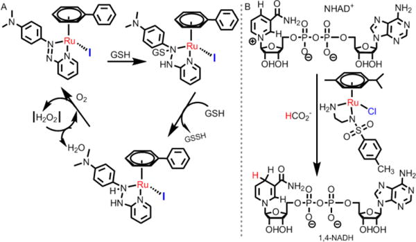 Fig. 30