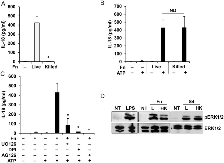 Fig 5