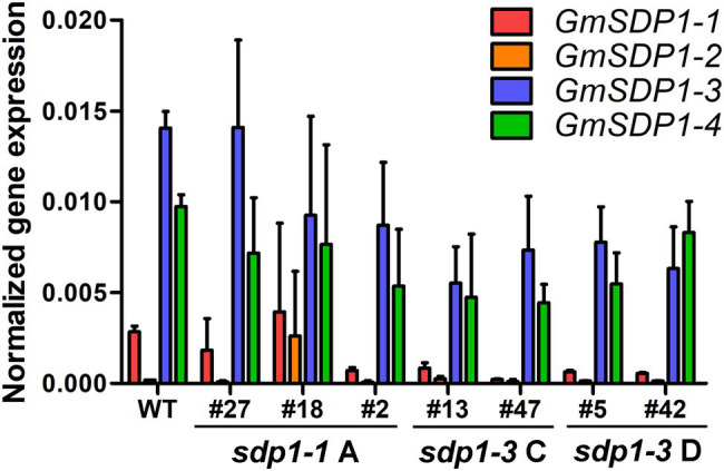 Figure 5