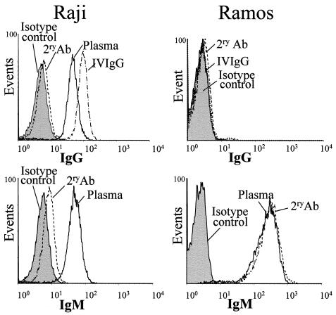 FIG. 2.