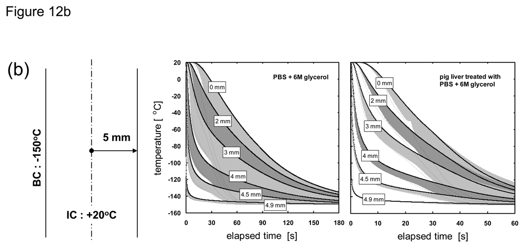 Fig. 12