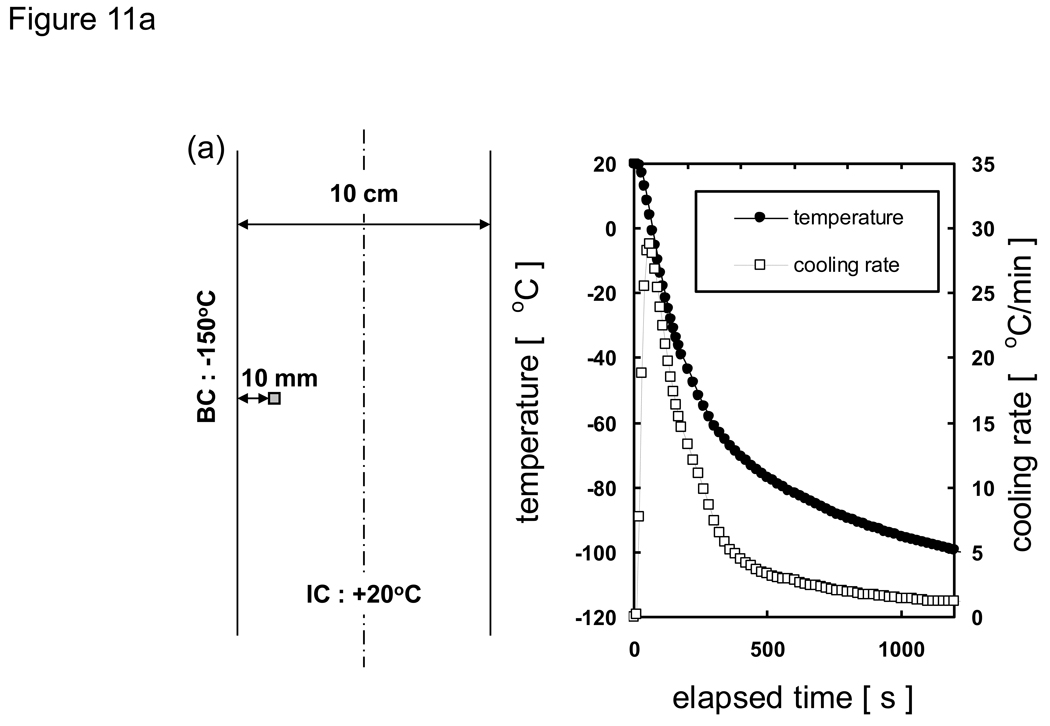 Fig. 11