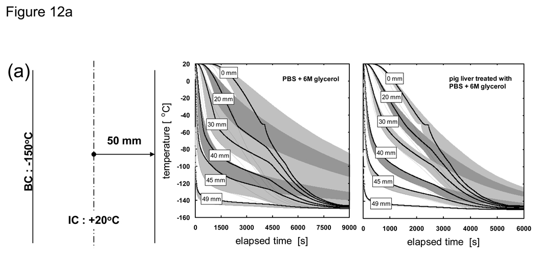 Fig. 12