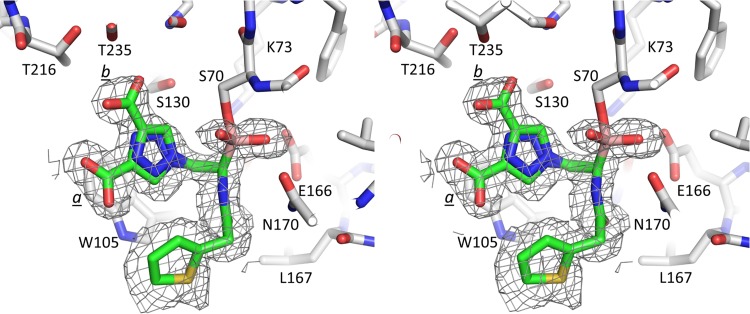 FIG 2