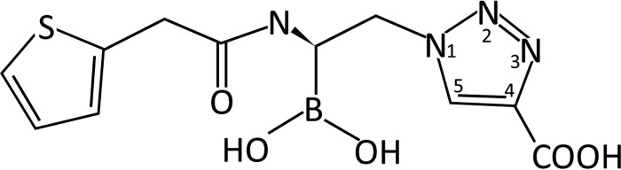 FIG 1