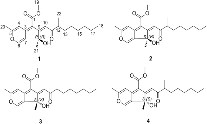 Fig. 1