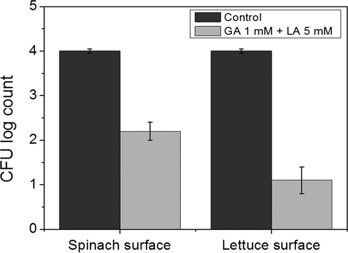 FIG 7