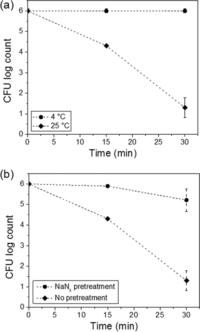 FIG 3