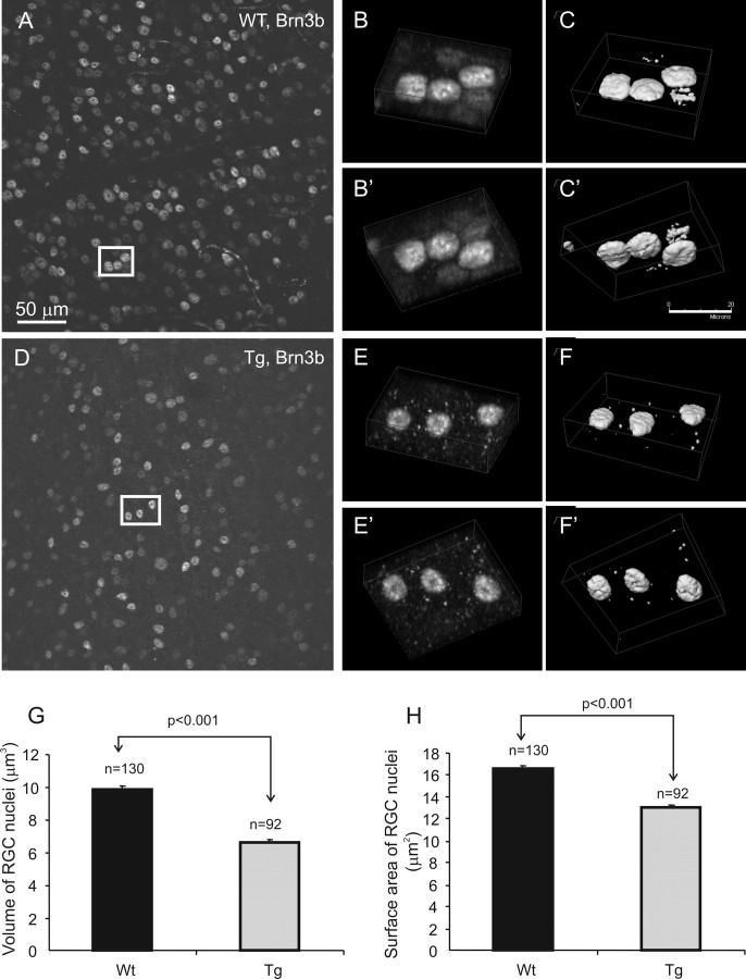 Figure 12.