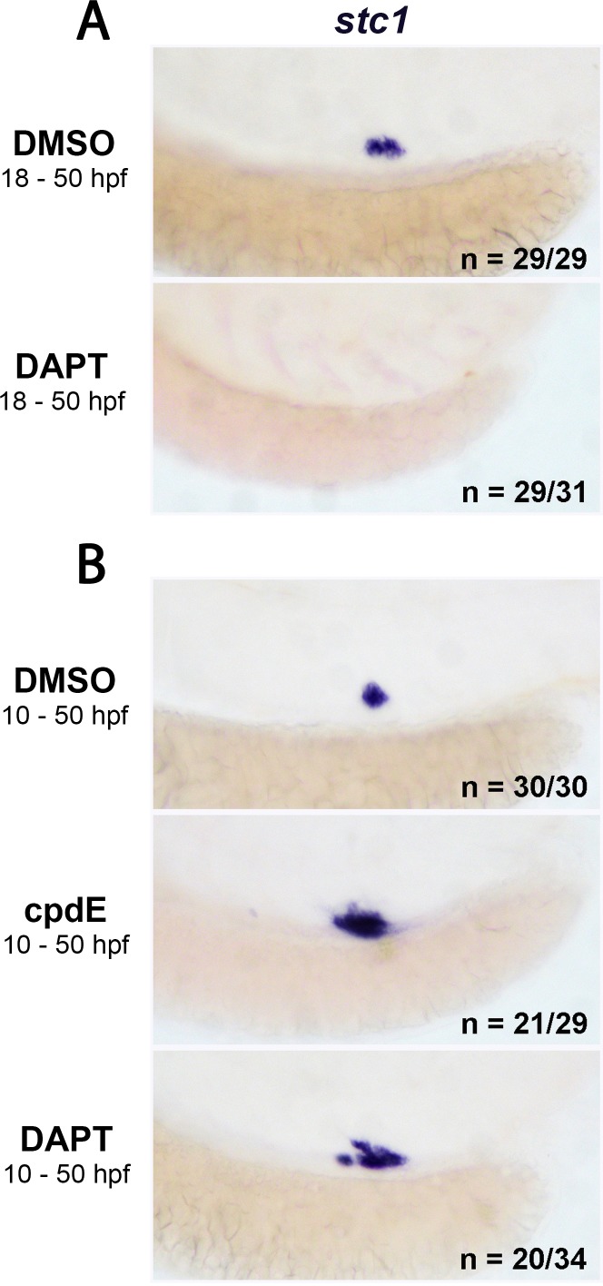 Figure 6—figure supplement 3.