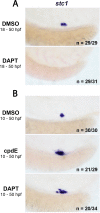 Figure 6—figure supplement 3.