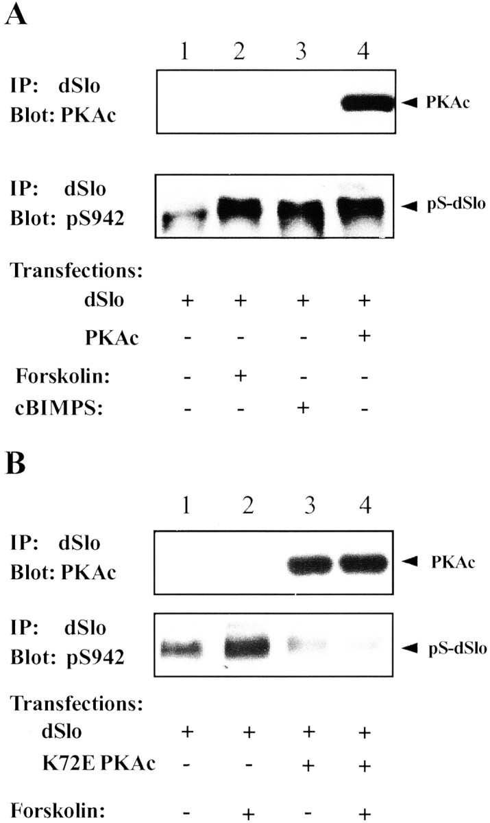 Fig. 9.