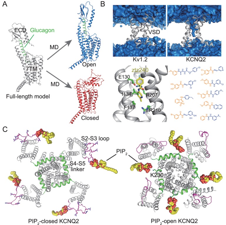 Figure 4.