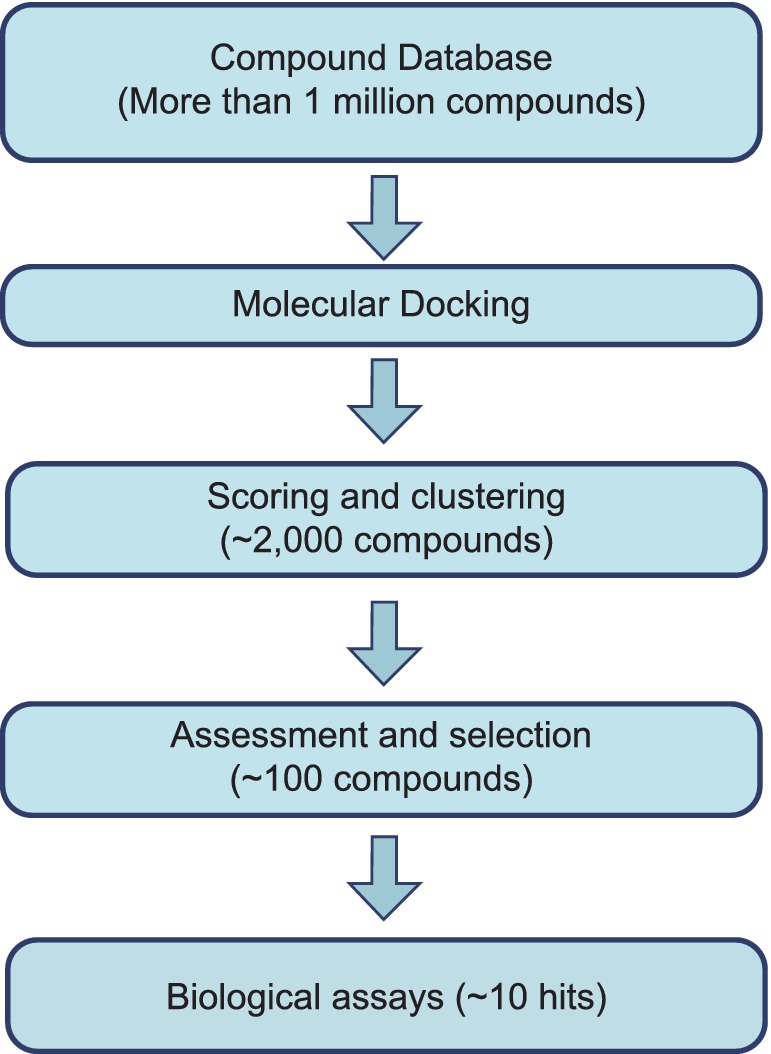 Figure 2.